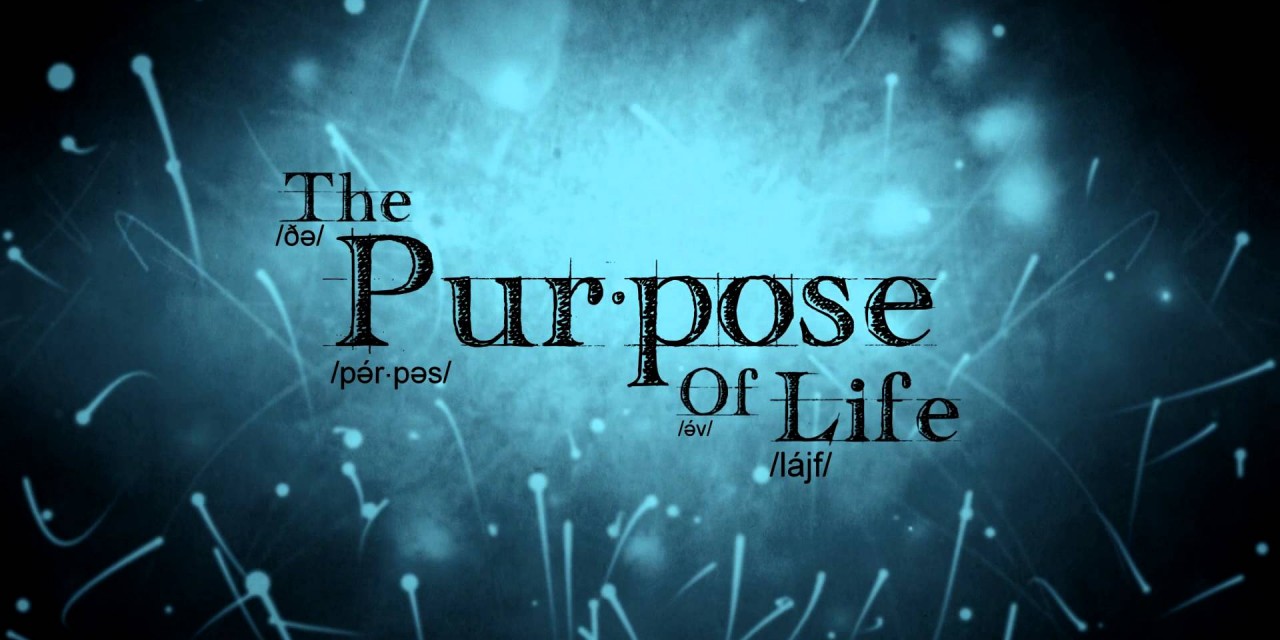 What is the Purpose of Life?