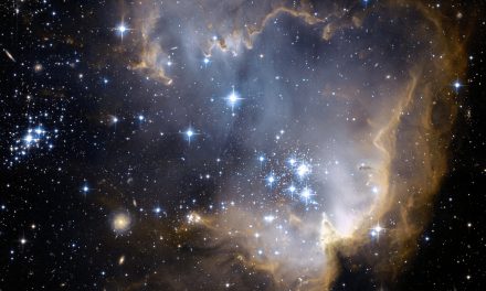 What is the purpose of our creation?